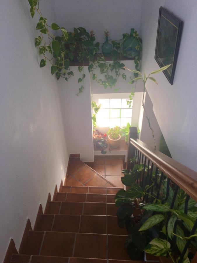 La Granada Pension Orgiva Buitenkant foto